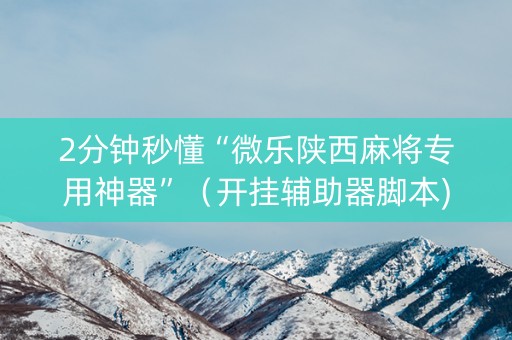 2分钟秒懂“微乐陕西麻将专用神器”（开挂辅助器脚本)