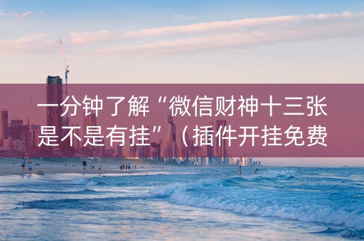 一分钟了解“微信财神十三张是不是有挂”（插件开挂免费AI)