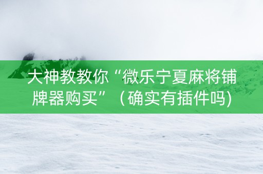 大神教教你“微乐宁夏麻将铺牌器购买”（确实有插件吗)