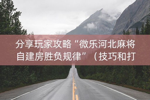 分享玩家攻略“微乐河北麻将自建房胜负规律”（技巧和打好牌方法)