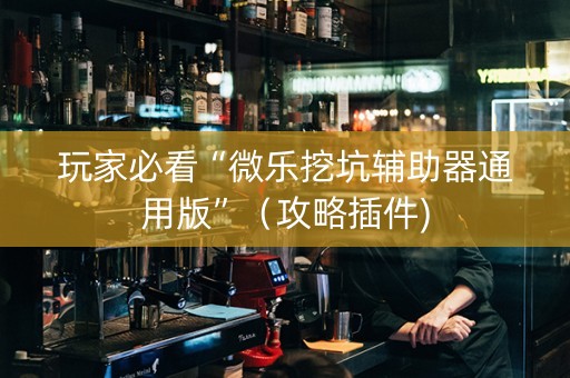 玩家必看“微乐挖坑辅助器通用版”（攻略插件)