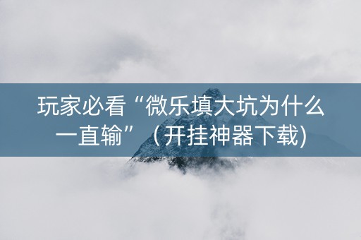 玩家必看“微乐填大坑为什么一直输”（开挂神器下载)