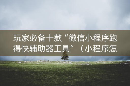 玩家必备十款“微信小程序跑得快辅助器工具”（小程序怎么才会赢)