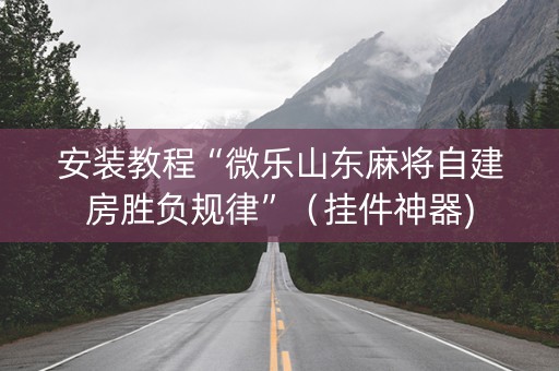 安装教程“微乐山东麻将自建房胜负规律”（挂件神器)