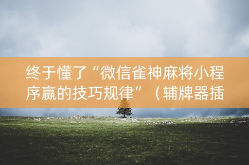 终于懂了“微信雀神麻将小程序赢的技巧规律”（辅牌器插件购买)