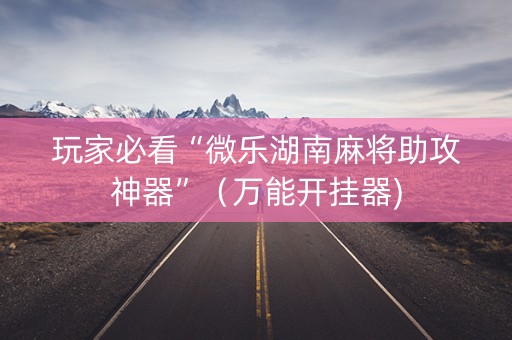 玩家必看“微乐湖南麻将助攻神器”（万能开挂器)