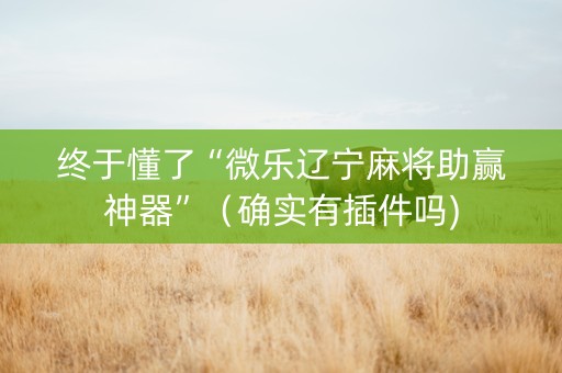 终于懂了“微乐辽宁麻将助赢神器”（确实有插件吗)