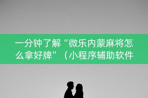 一分钟了解“微乐内蒙麻将怎么拿好牌”（小程序辅助软件)
