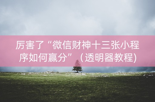 厉害了“微信财神十三张小程序如何赢分”（透明器教程)