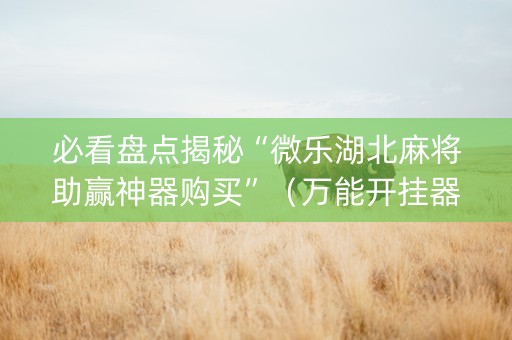 必看盘点揭秘“微乐湖北麻将助赢神器购买”（万能开挂器)