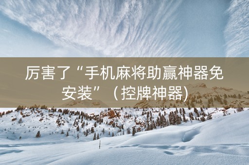 厉害了“手机麻将助赢神器免安装”（控牌神器)