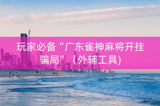玩家必备“广东雀神麻将开挂骗局”（外辅工具)