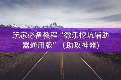 玩家必备教程“微乐挖坑辅助器通用版”（助攻神器)