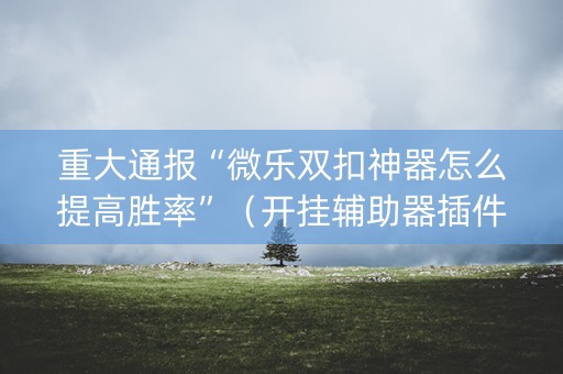 重大通报“微乐双扣神器怎么提高胜率”（开挂辅助器插件)