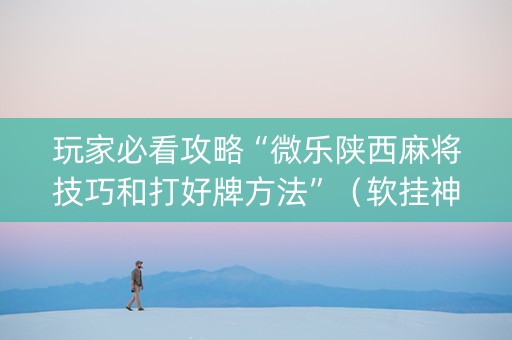玩家必看攻略“微乐陕西麻将技巧和打好牌方法”（软挂神器)