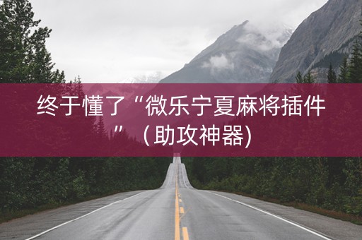 终于懂了“微乐宁夏麻将插件”（助攻神器)
