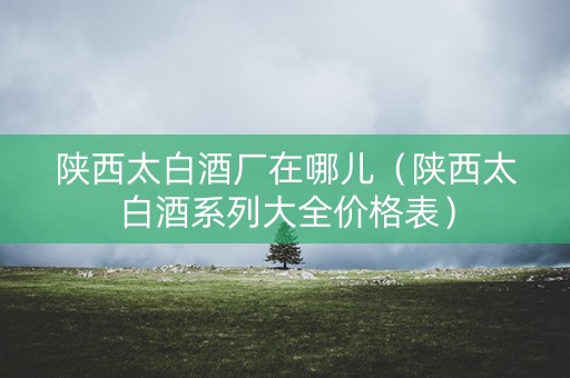陕西太白酒厂在哪儿（陕西太白酒系列大全价格表）