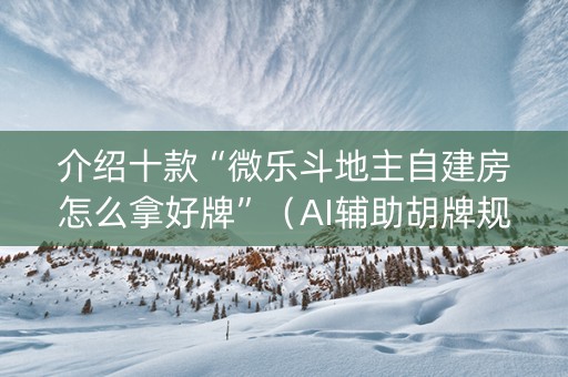 介绍十款“微乐斗地主自建房怎么拿好牌”（AI辅助胡牌规则)