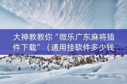 大神教教你“微乐广东麻将插件下载”（通用挂软件多少钱)