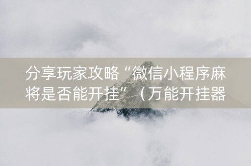 分享玩家攻略“微信小程序麻将是否能开挂”（万能开挂器)