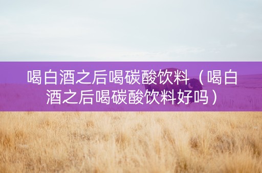 喝白酒之后喝碳酸饮料（喝白酒之后喝碳酸饮料好吗）