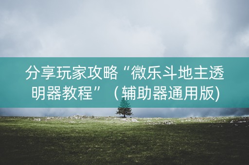 分享玩家攻略“微乐斗地主透明器教程”（辅助器通用版)