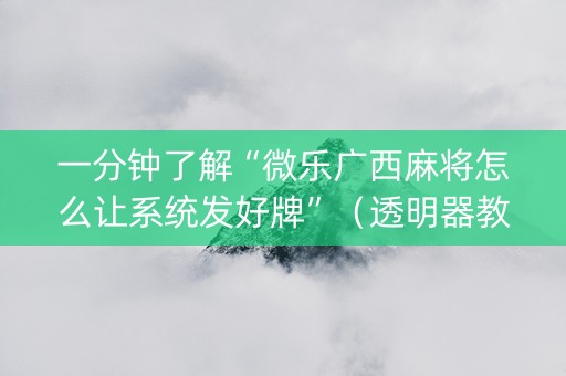 一分钟了解“微乐广西麻将怎么让系统发好牌”（透明器教程)