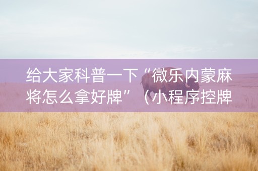 给大家科普一下“微乐内蒙麻将怎么拿好牌”（小程序控牌器)