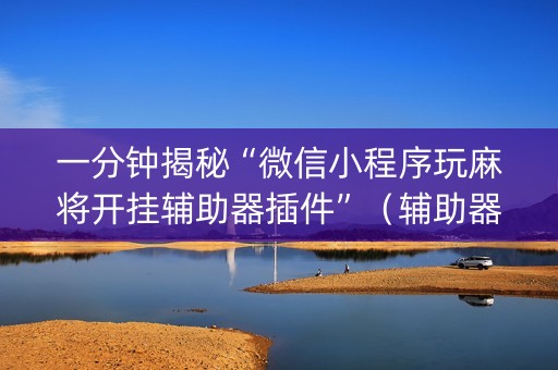 一分钟揭秘“微信小程序玩麻将开挂辅助器插件”（辅助器下载)