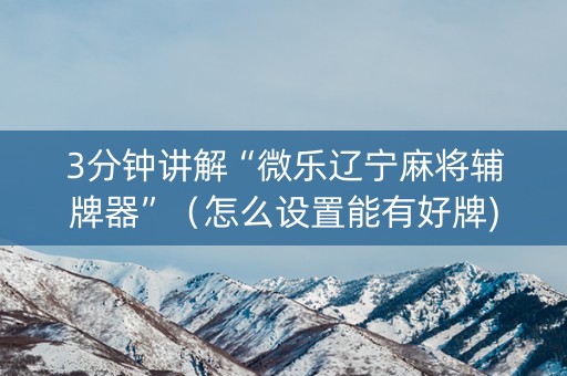 3分钟讲解“微乐辽宁麻将辅牌器”（怎么设置能有好牌)