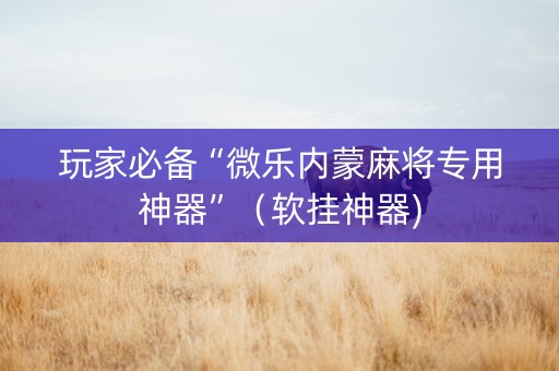 玩家必备“微乐内蒙麻将专用神器”（软挂神器)