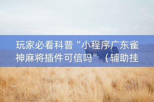 玩家必看科普“小程序广东雀神麻将插件可信吗”（辅助挂发牌规律)