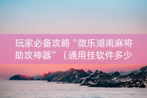 玩家必备攻略“微乐湖南麻将助攻神器”（通用挂软件多少钱)