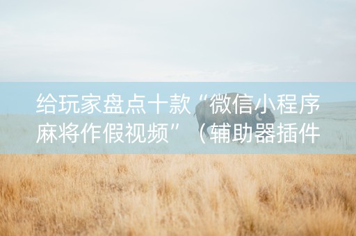 给玩家盘点十款“微信小程序麻将作假视频”（辅助器插件)