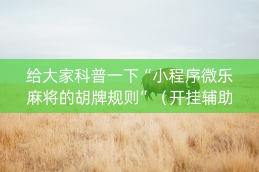 给大家科普一下“小程序微乐麻将的胡牌规则”（开挂辅助器插件)