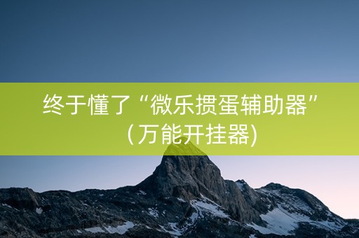 终于懂了“微乐掼蛋辅助器”（万能开挂器)