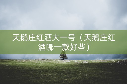 天鹅庄红酒大一号（天鹅庄红酒哪一款好些）