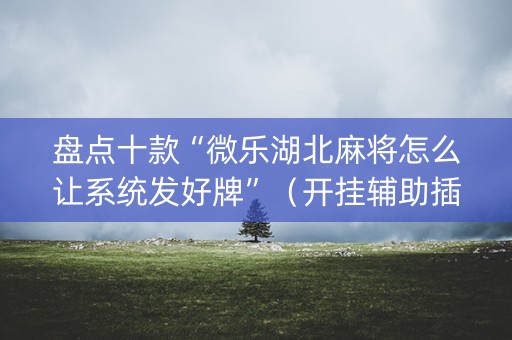 盘点十款“微乐湖北麻将怎么让系统发好牌”（开挂辅助插件)