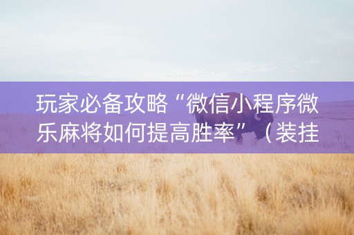 玩家必备攻略“微信小程序微乐麻将如何提高胜率”（装挂怎么安装)