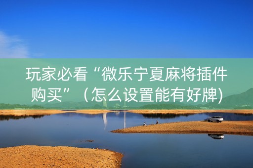 玩家必看“微乐宁夏麻将插件购买”（怎么设置能有好牌)