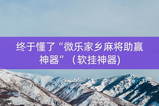 终于懂了“微乐家乡麻将助赢神器”（软挂神器)