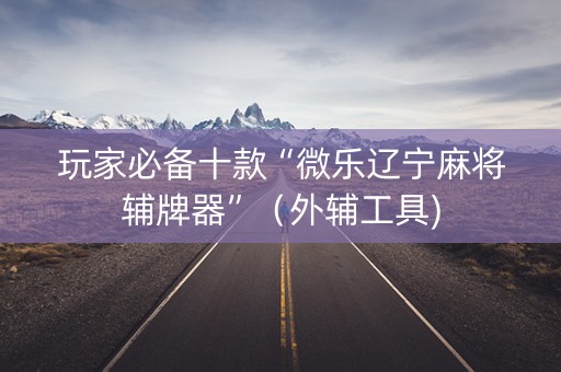 玩家必备十款“微乐辽宁麻将辅牌器”（外辅工具)