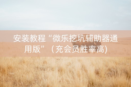 安装教程“微乐挖坑辅助器通用版”（充会员胜率高)