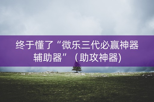 终于懂了“微乐三代必赢神器辅助器”（助攻神器)
