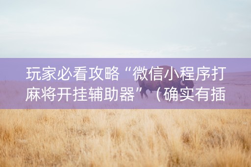 玩家必看攻略“微信小程序打麻将开挂辅助器”（确实有插件吗)
