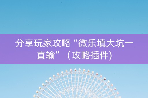 分享玩家攻略“微乐填大坑一直输”（攻略插件)