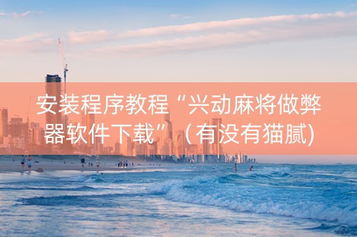 安装程序教程“兴动麻将做弊器软件下载”（有没有猫腻)