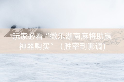 玩家必看“微乐湖南麻将助赢神器购买”（胜率到哪调)
