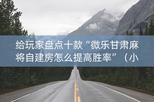 给玩家盘点十款“微乐甘肃麻将自建房怎么提高胜率”（小程序辅助软件)