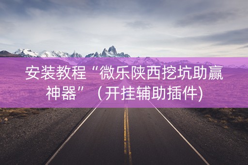 安装教程“微乐陕西挖坑助赢神器”（开挂辅助插件)